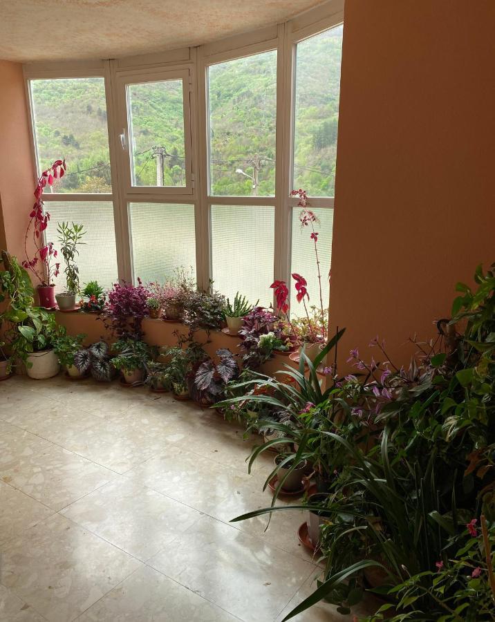 A Lastra Villamartin  Ngoại thất bức ảnh